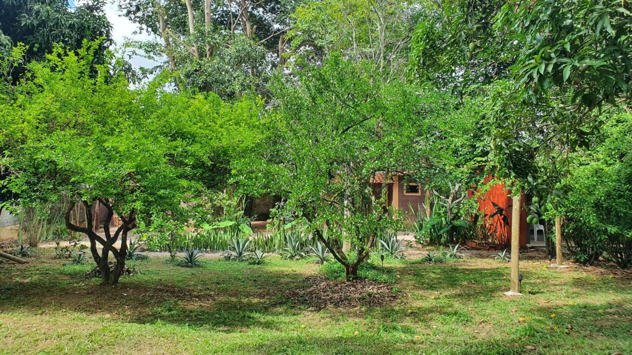 Free Soul House - Localizacao Ideal No Centrinho Alto Paraíso de Goiás المظهر الخارجي الصورة